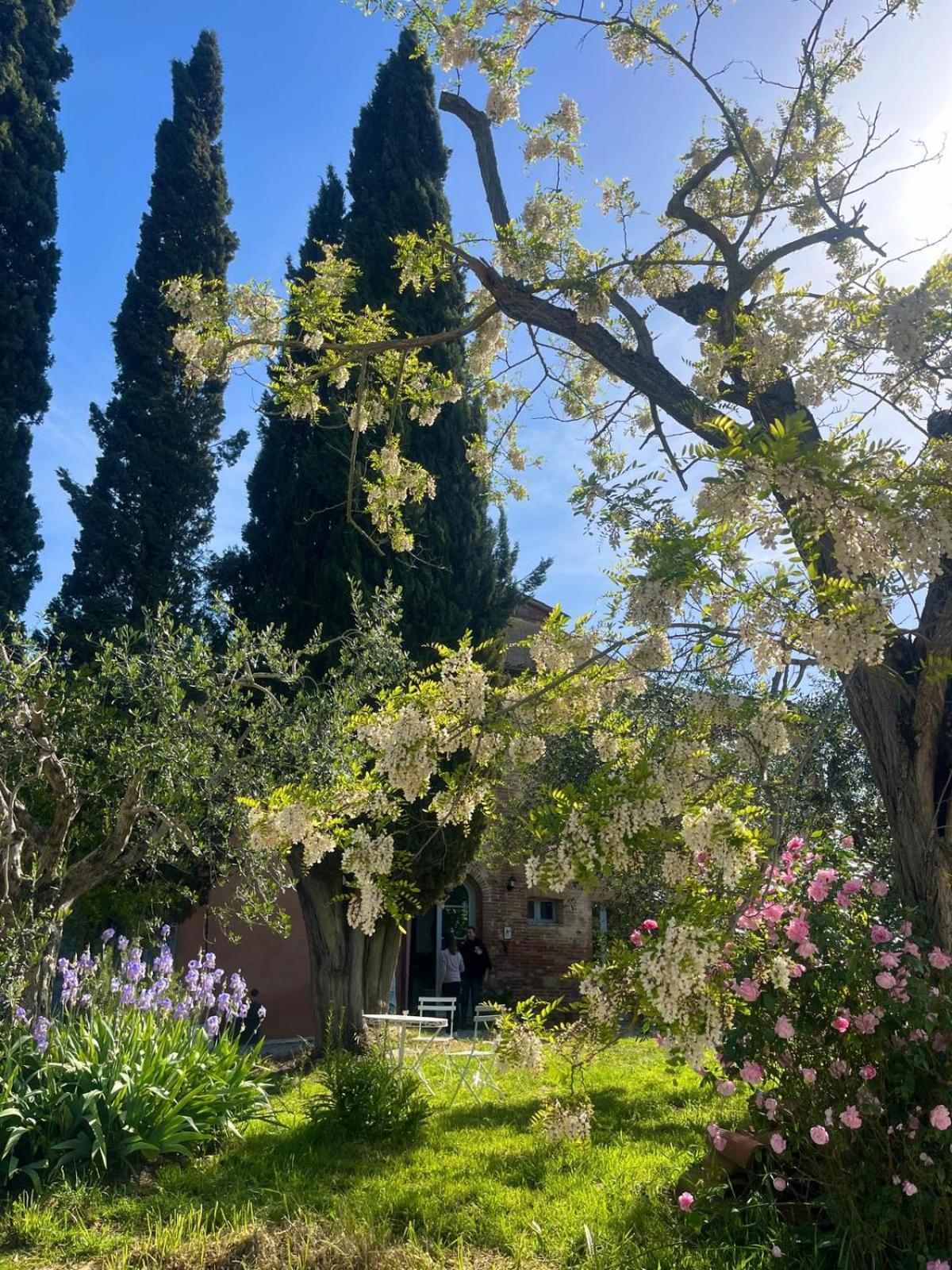 Casa Ezio Marchi - Due Appartamenti E Una Family Suite Bettolle Exterior foto
