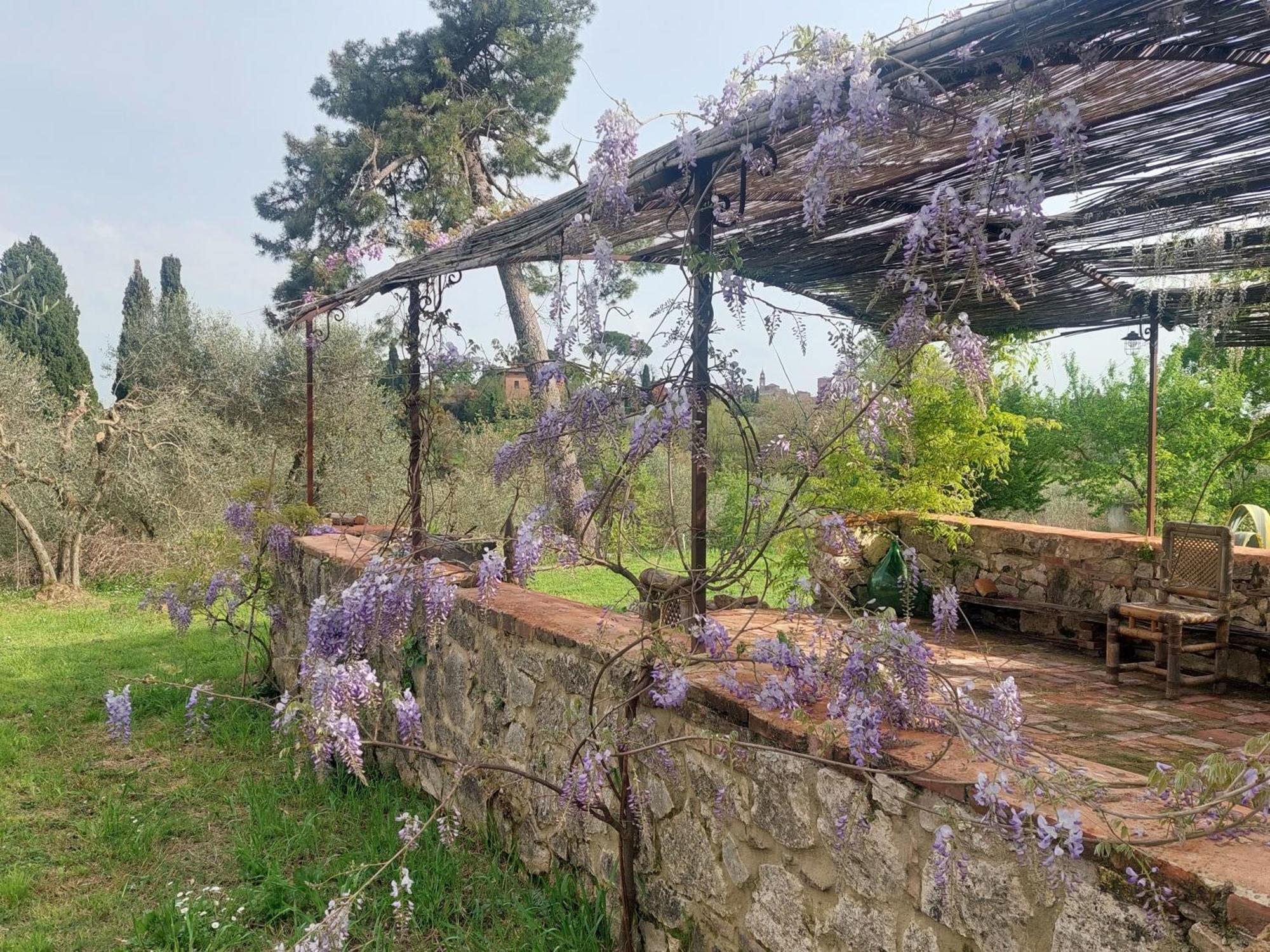 Casa Ezio Marchi - Due Appartamenti E Una Family Suite Bettolle Exterior foto